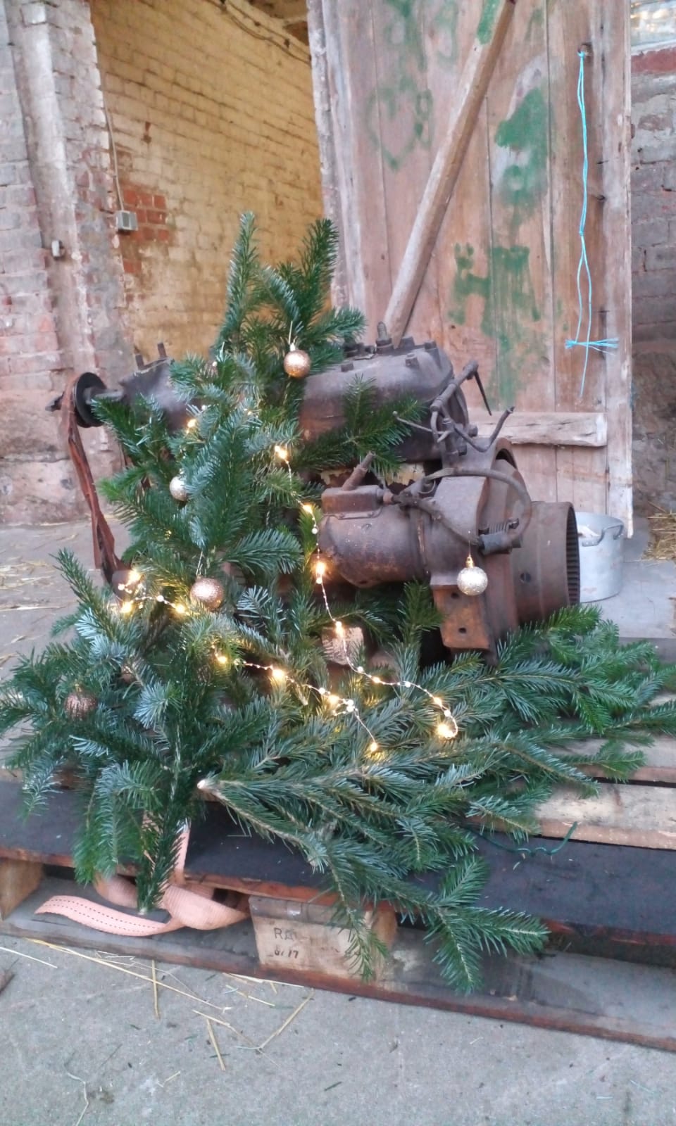 Merry Christmas