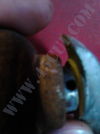 Remove inner door handle and window crank